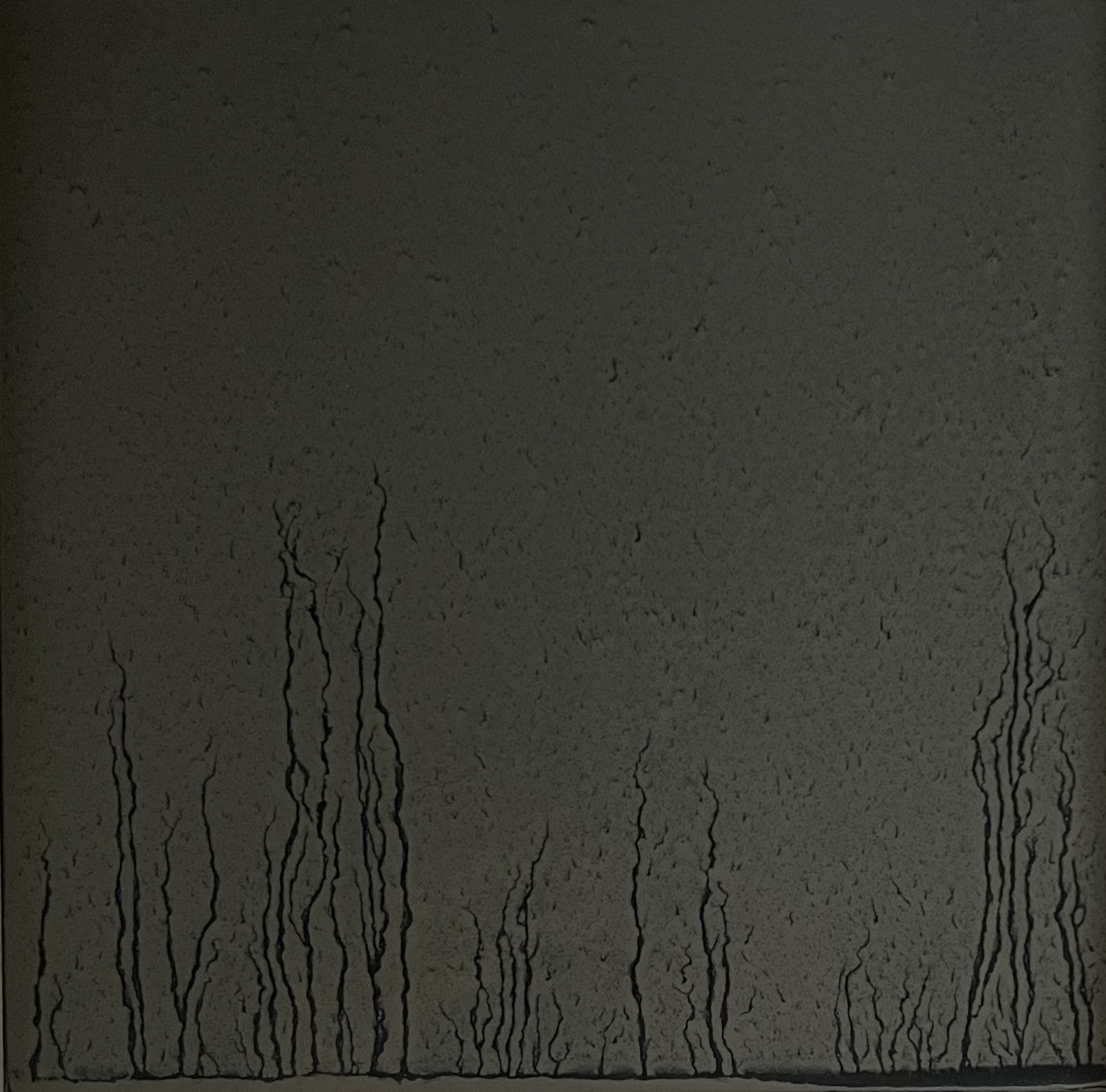 Richard  Long - Untitled, 1995